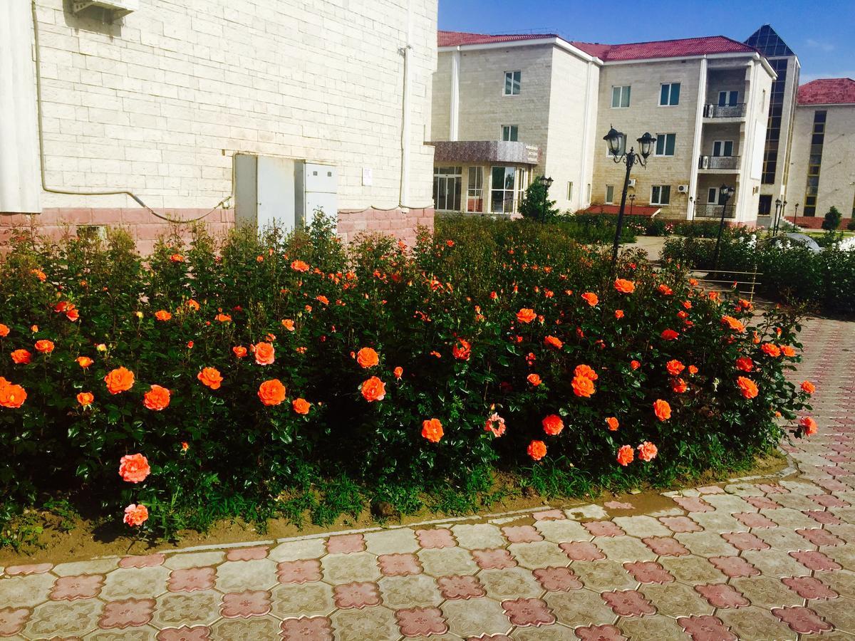 Hotel Ark Ms Taraz Εξωτερικό φωτογραφία