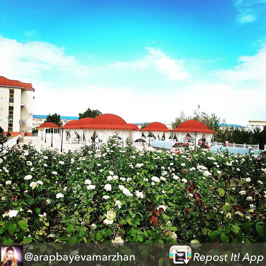 Hotel Ark Ms Taraz Εξωτερικό φωτογραφία